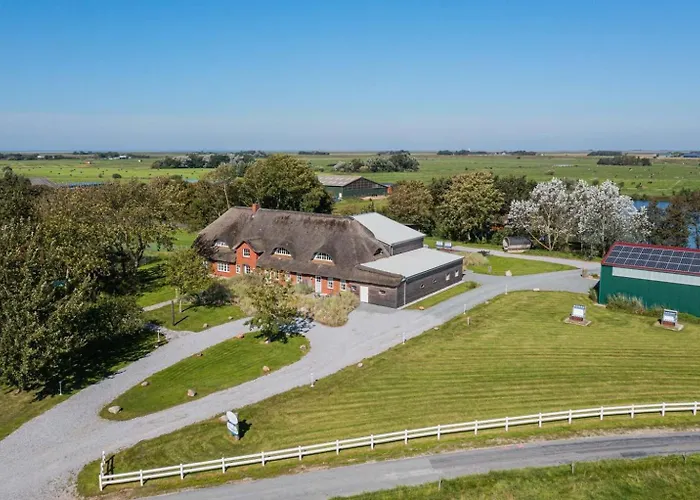 6 Suederoog Id 475 * 塔廷格